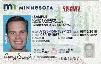 Minnesota Senate GOP renews push for voter photo ID